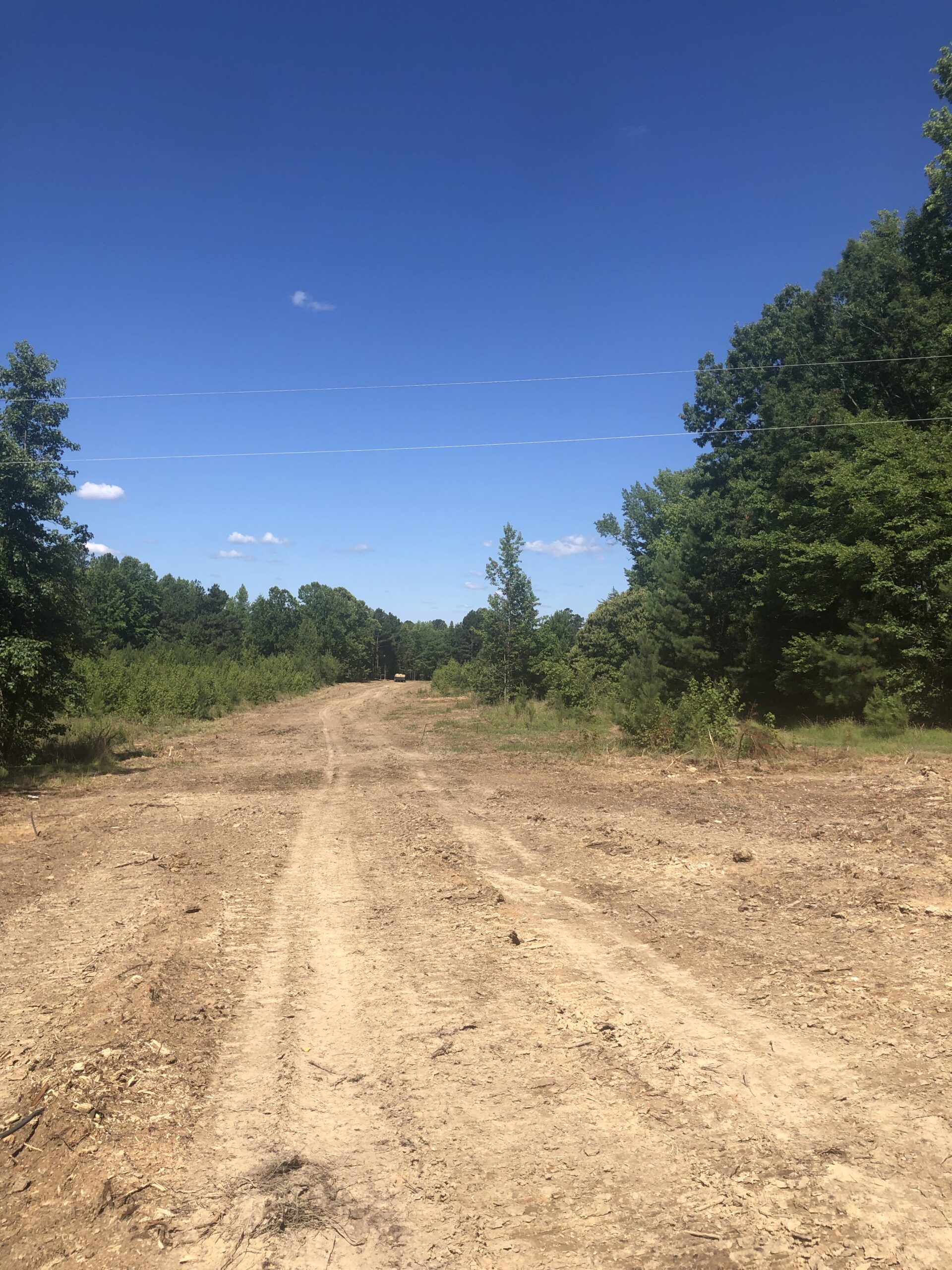 Land Clearing Photo, Subdivision Roadway