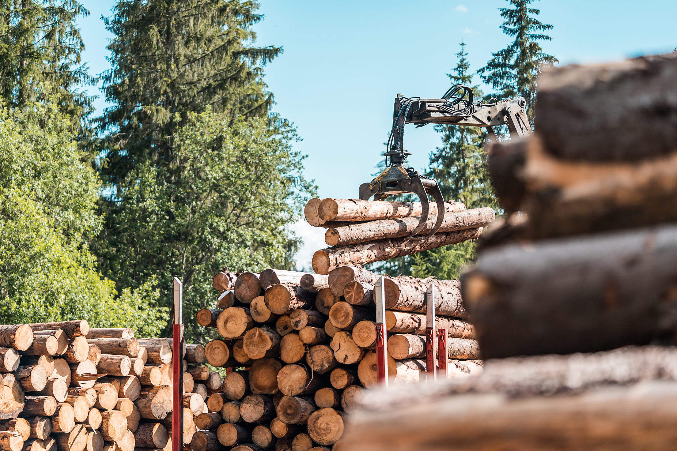 Loader loading Logs on a Log Truck